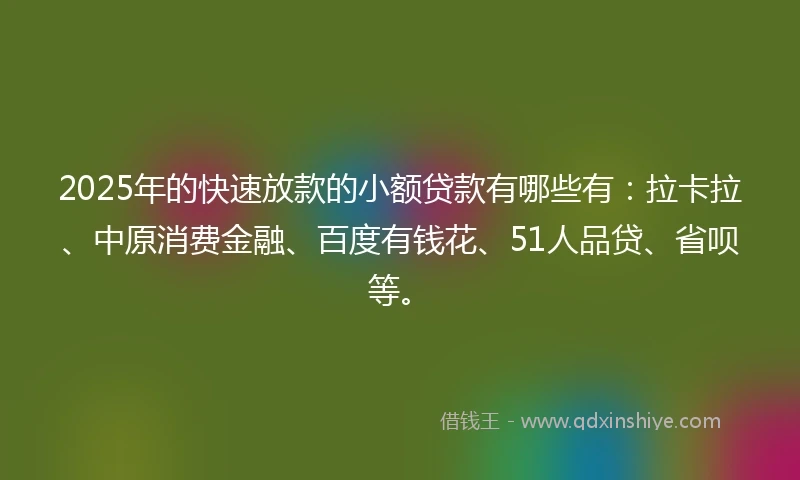 2025年的快速放款的小额贷款有哪些有：拉卡拉、中原消费金融、百度有钱花、51人品贷、省呗等。