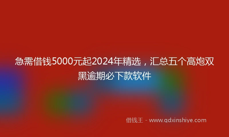 急需借钱5000元起2024年精选，汇总五个高炮双黑逾期必下款软件