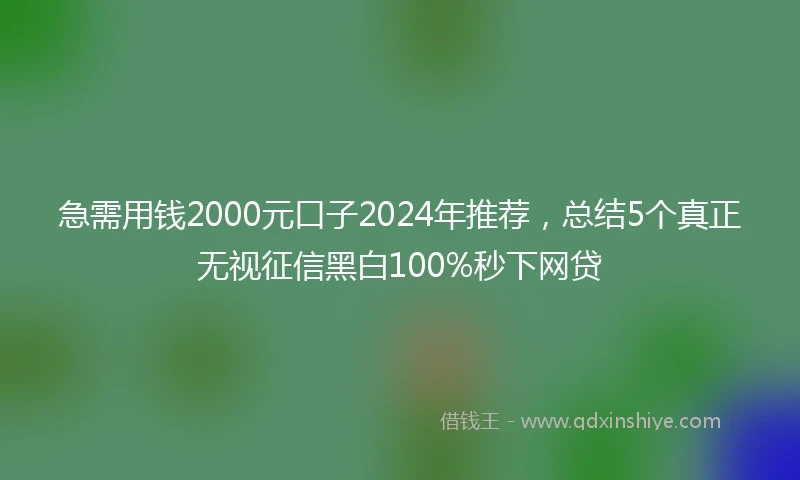 急需用钱2000元口子2024年推荐，总结5个真正无视征信黑白100%秒下网贷