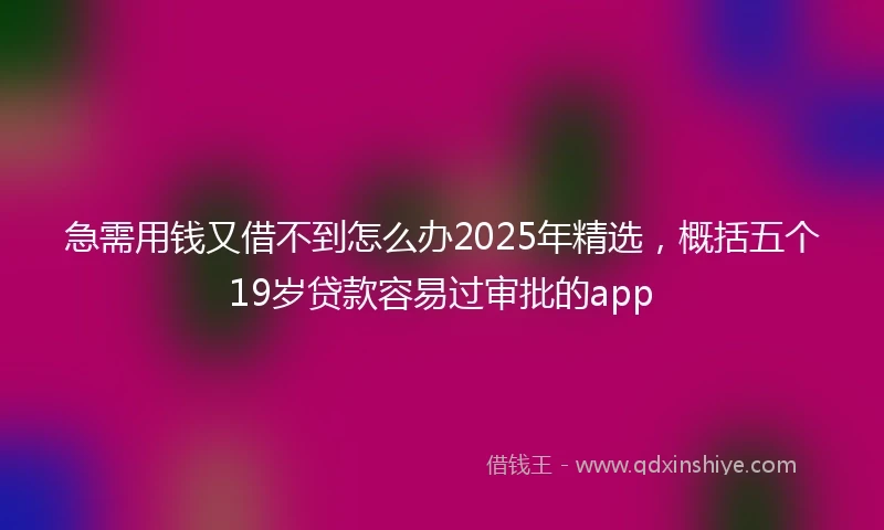 急需用钱又借不到怎么办2025年精选，概括五个19岁贷款容易过审批的app