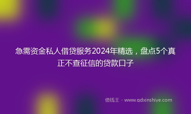 急需资金私人借贷服务2024年精选，盘点5个真正不查征信的贷款口子