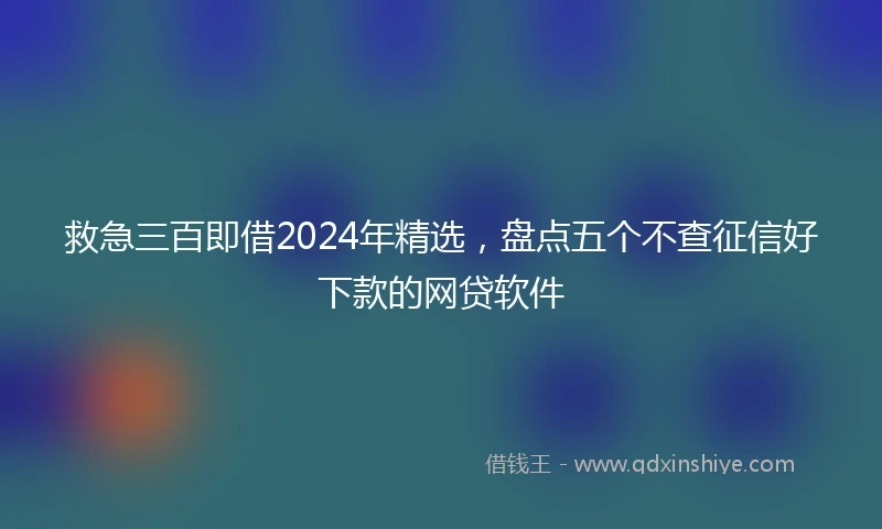 救急三百即借2024年精选，盘点五个不查征信好下款的网贷软件