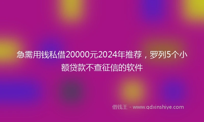 急需用钱私借20000元2024年推荐，罗列5个小额贷款不查征信的软件