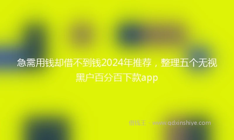 急需用钱却借不到钱2024年推荐，整理五个无视黑户百分百下款app