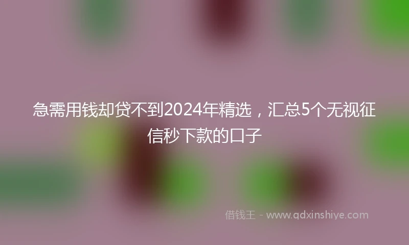 急需用钱却贷不到2024年精选，汇总5个无视征信秒下款的口子