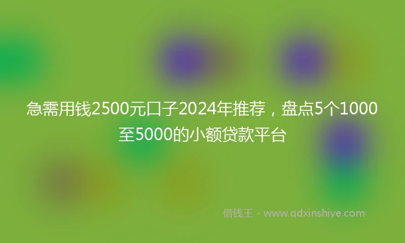 急需用钱2500元口子2024年推荐，盘点5个1000至5000的小额贷款平台