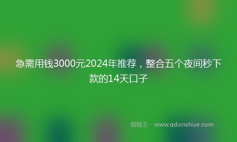 急需用钱3000元2024年推荐，整合五个夜间秒下款的14天口子