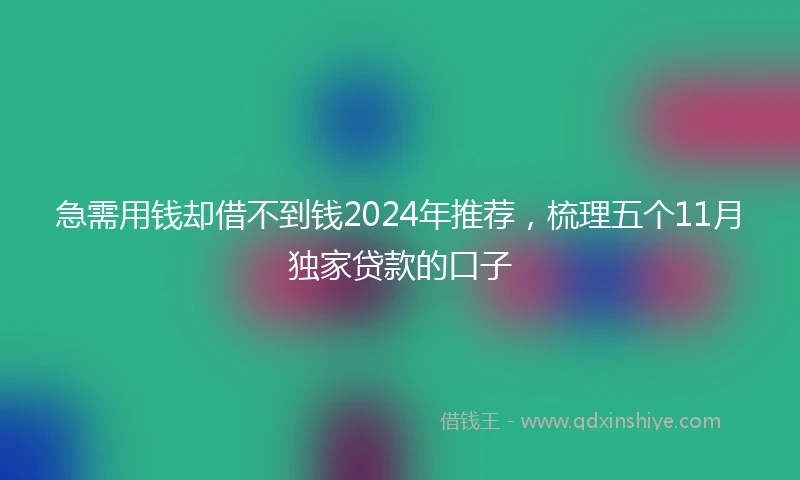 急需用钱却借不到钱2024年推荐，梳理五个11月独家贷款的口子