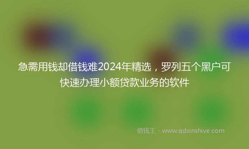 急需用钱却借钱难2024年精选，罗列五个黑户可快速办理小额贷款业务的软件