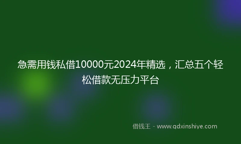 急需用钱私借10000元2024年精选，汇总五个轻松借款无压力平台