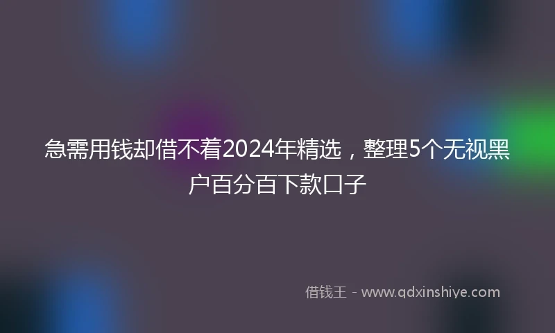 急需用钱却借不着2024年精选，整理5个无视黑户百分百下款口子