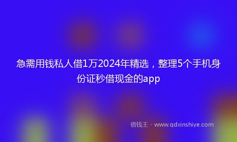 急需用钱私人借1万2024年精选，整理5个手机身份证秒借现金的app