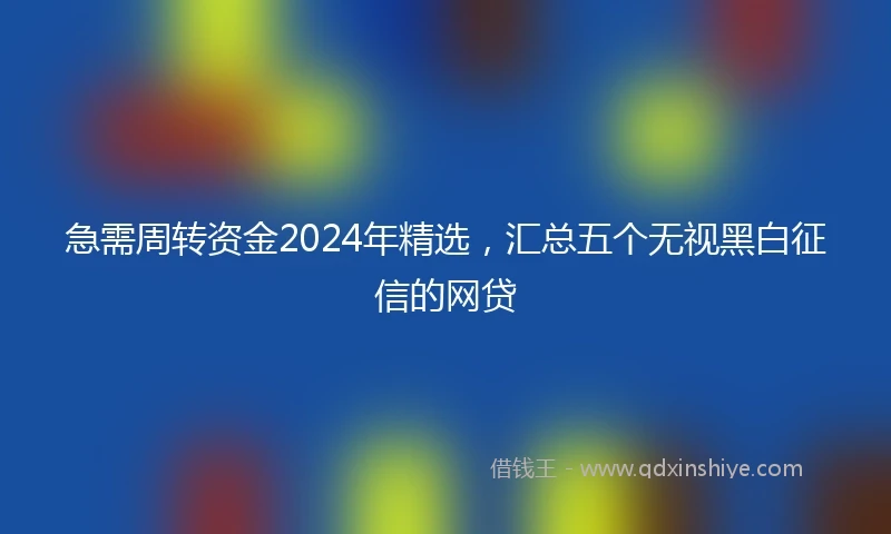 急需周转资金2024年精选，汇总五个无视黑白征信的网贷