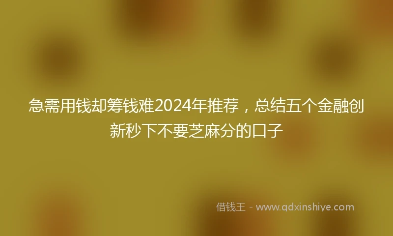急需用钱却筹钱难2024年推荐，总结五个金融创新秒下不要芝麻分的口子