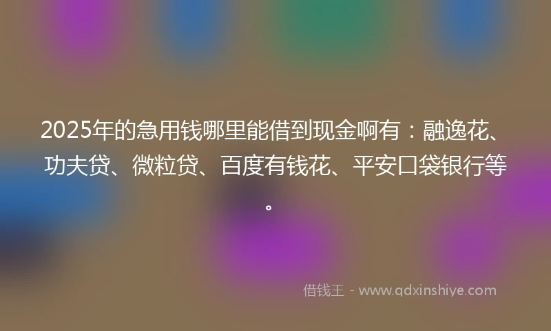 2025年的急用钱哪里能借到现金啊有：融逸花、功夫贷、微粒贷、百度有钱花、平安口袋银行等。