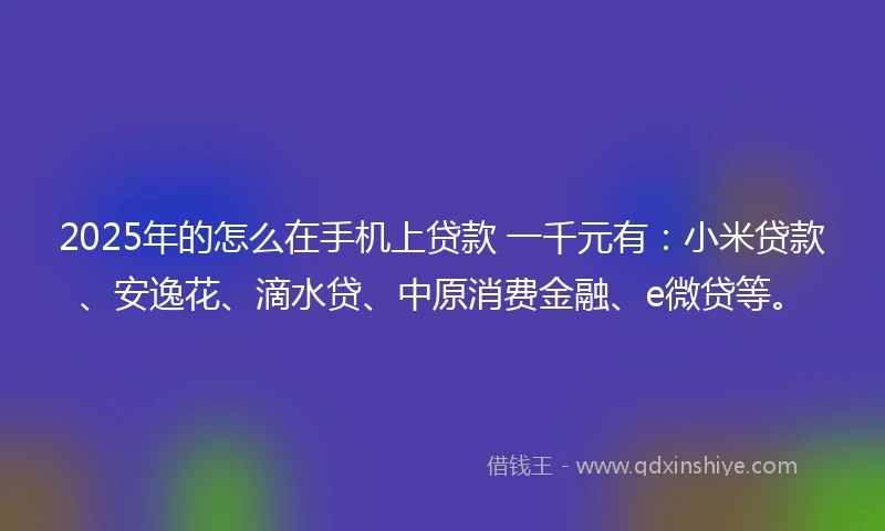 2025年的怎么在手机上贷款 一千元有：小米贷款、安逸花、滴水贷、中原消费金融、e微贷等。