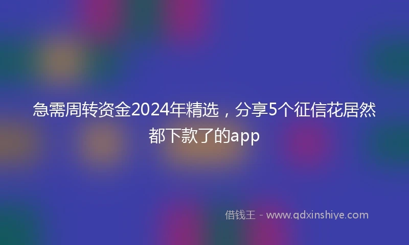 急需周转资金2024年精选，分享5个征信花居然都下款了的app