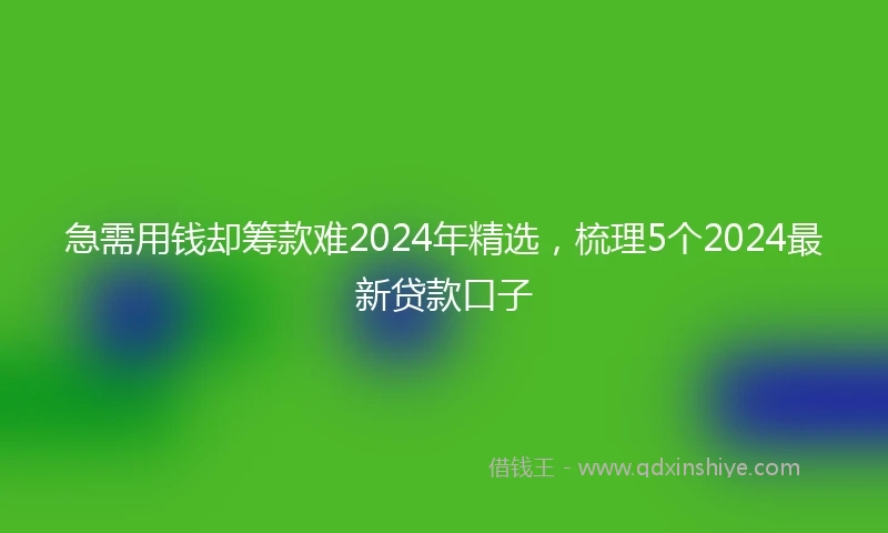 急需用钱却筹款难2024年精选，梳理5个2024最新贷款口子