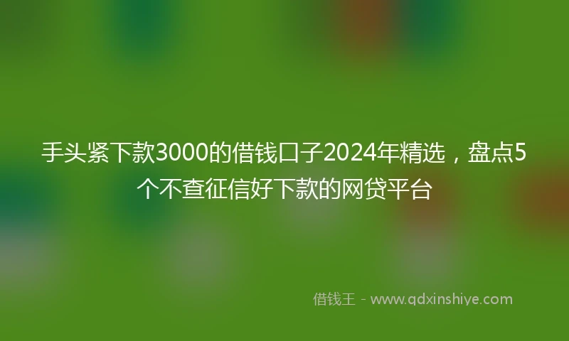 手头紧下款3000的借钱口子2024年精选，盘点5个不查征信好下款的网贷平台