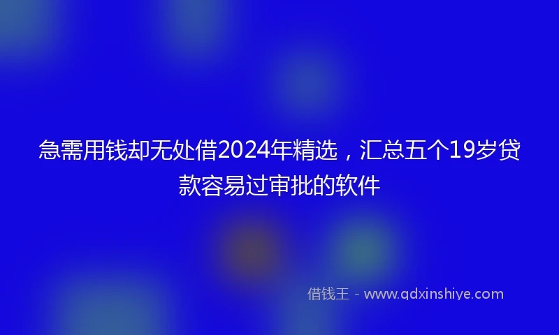 急需用钱却无处借2024年精选，汇总五个19岁贷款容易过审批的软件