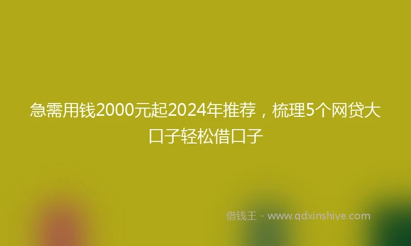 急需用钱2000元起2024年推荐，梳理5个网贷大口子轻松借口子