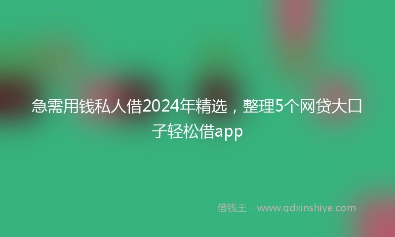 急需用钱私人借2024年精选，整理5个网贷大口子轻松借app