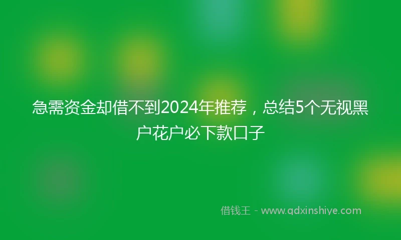 急需资金却借不到2024年推荐，总结5个无视黑户花户必下款口子