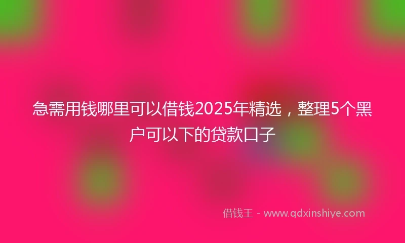 急需用钱哪里可以借钱2025年精选，整理5个黑户可以下的贷款口子