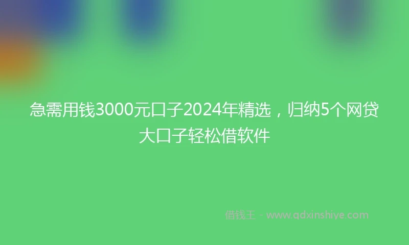 急需用钱3000元口子2024年精选，归纳5个网贷大口子轻松借软件