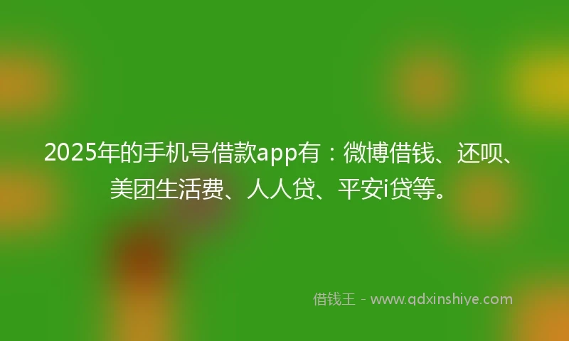 2025年的手机号借款app有：微博借钱、还呗、美团生活费、人人贷、平安i贷等。