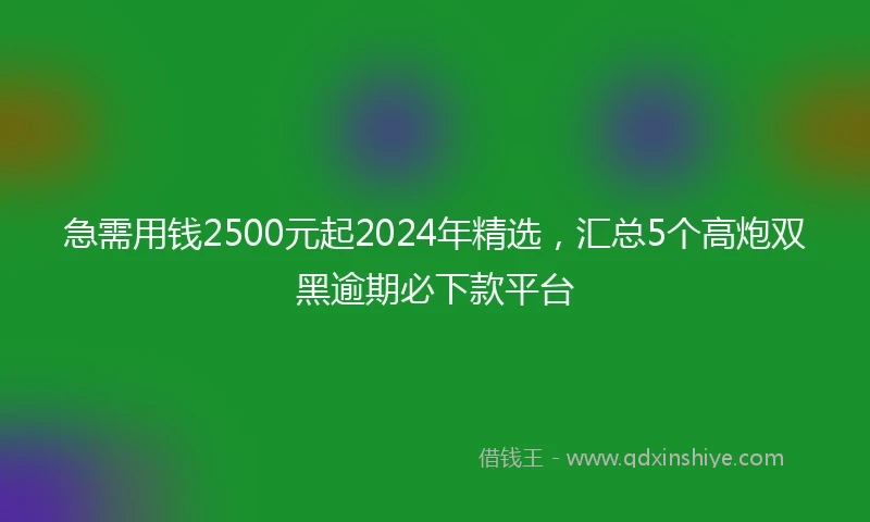 急需用钱2500元起2024年精选，汇总5个高炮双黑逾期必下款平台