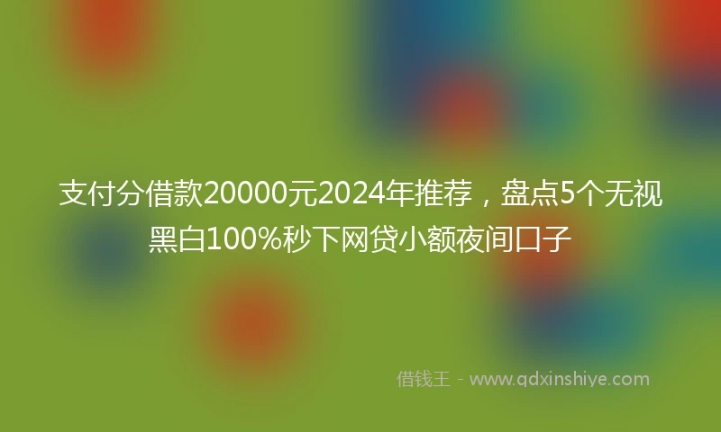 支付分借款20000元2024年推荐，盘点5个无视黑白100%秒下网贷小额夜间口子