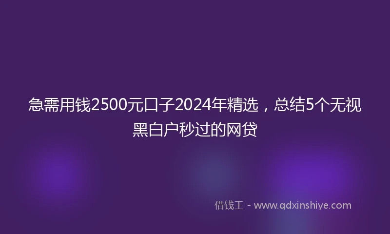 急需用钱2500元口子2024年精选，总结5个无视黑白户秒过的网贷