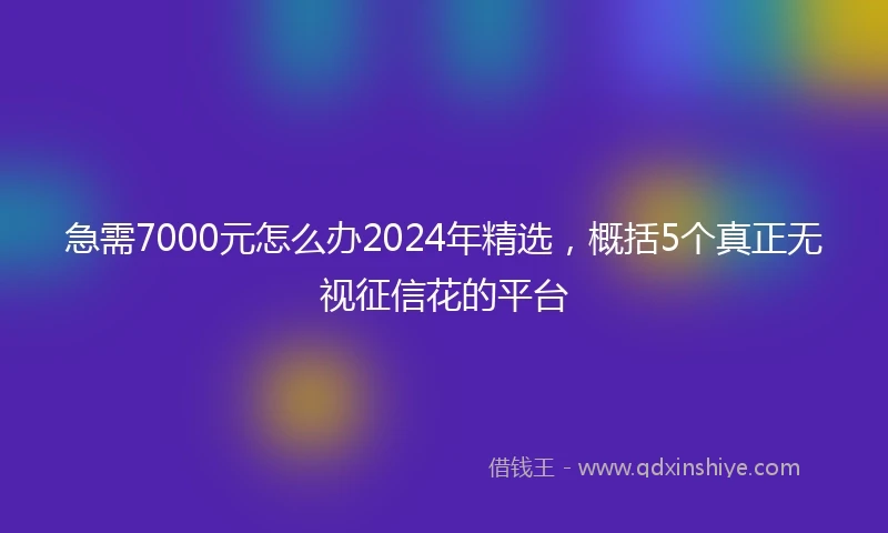 急需7000元怎么办2024年精选，概括5个真正无视征信花的平台