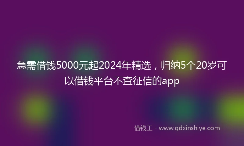 急需借钱5000元起2024年精选，归纳5个20岁可以借钱平台不查征信的app