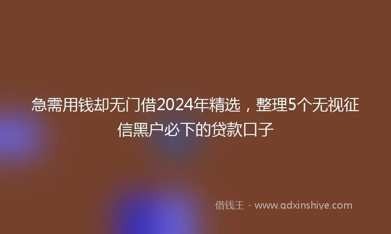 急需用钱却无门借2024年精选，整理5个无视征信黑户必下的贷款口子