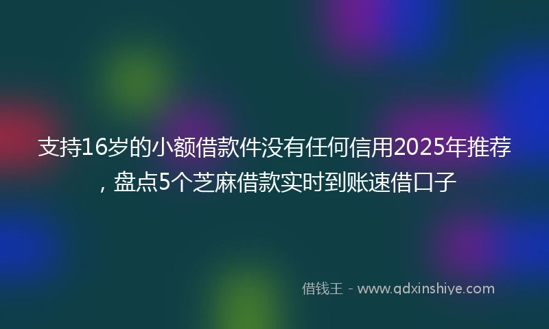 支持16岁的小额借款件没有任何信用2025年推荐，盘点5个芝麻借款实时到账速借口子