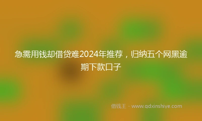 急需用钱却借贷难2024年推荐，归纳五个网黑逾期下款口子