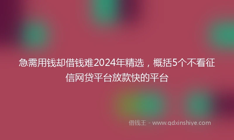 急需用钱却借钱难2024年精选，概括5个不看征信网贷平台放款快的平台
