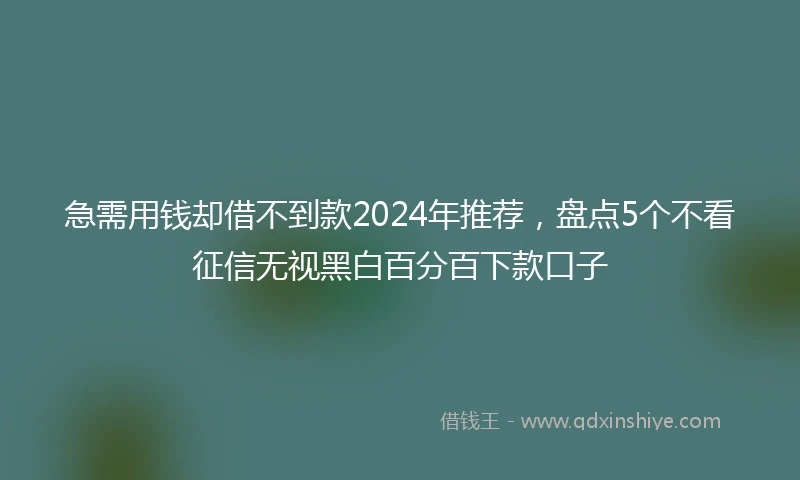 急需用钱却借不到款2024年推荐，盘点5个不看征信无视黑白百分百下款口子