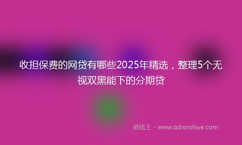 收担保费的网贷有哪些2025年精选，整理5个无视双黑能下的分期贷