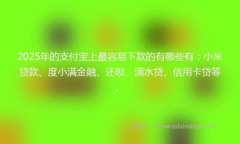 2025年的支付宝上最容易下款的有哪些有：小米贷款、度小满金融、还呗、滴水贷、信用卡贷等。