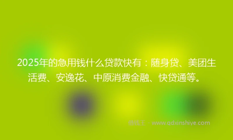 2025年的急用钱什么贷款快有：随身贷、美团生活费、安逸花、中原消费金融、快贷通等。