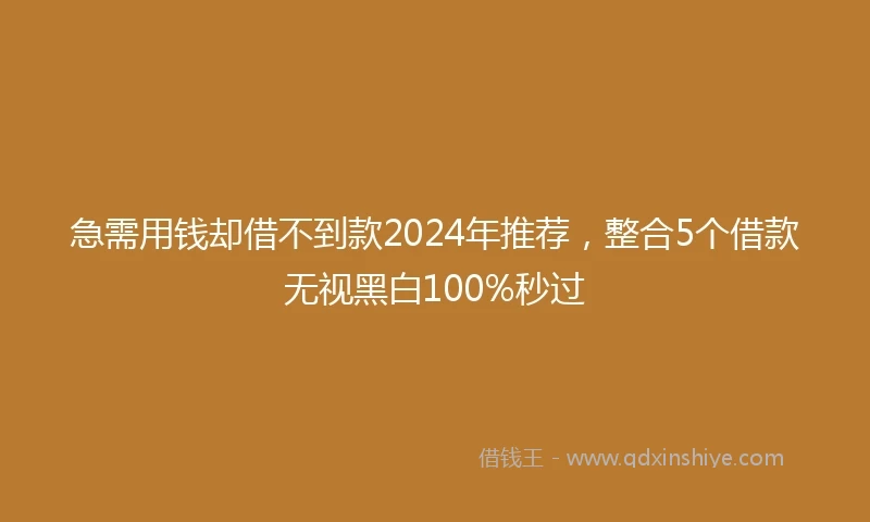 急需用钱却借不到款2024年推荐，整合5个借款无视黑白100%秒过