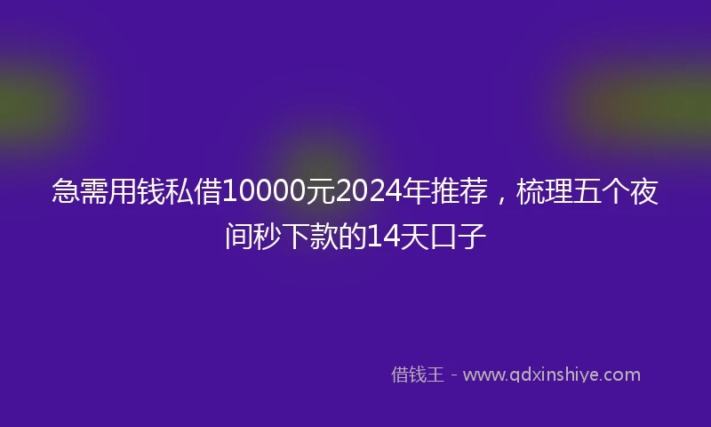 急需用钱私借10000元2024年推荐，梳理五个夜间秒下款的14天口子