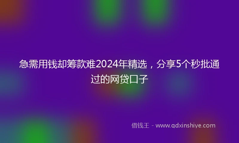急需用钱却筹款难2024年精选，分享5个秒批通过的网贷口子