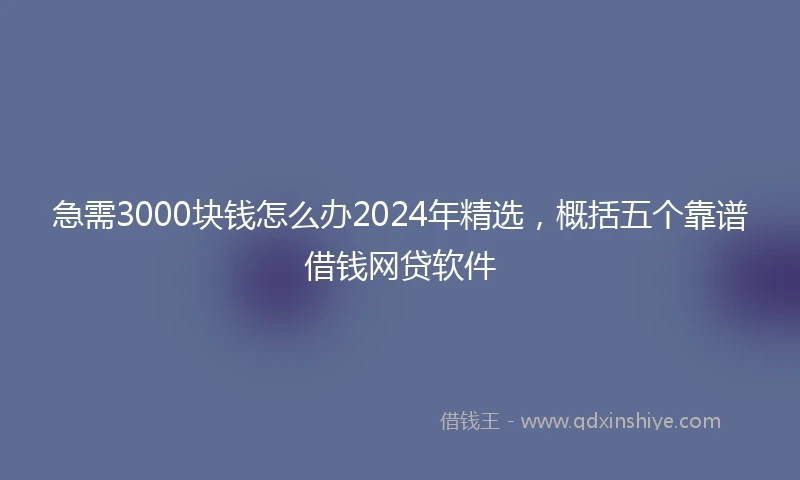 急需3000块钱怎么办2024年精选，概括五个靠谱借钱网贷软件