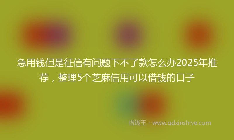 急用钱但是征信有问题下不了款怎么办2025年推荐，整理5个芝麻信用可以借钱的口子