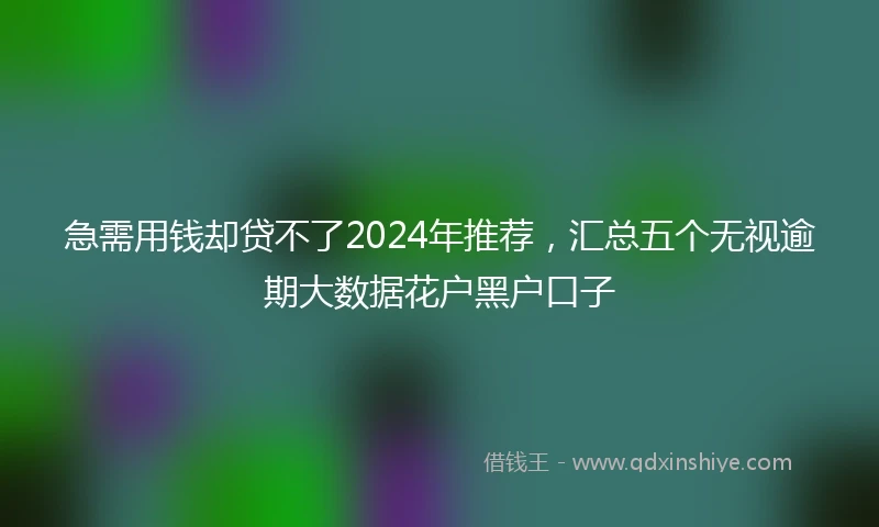 急需用钱却贷不了2024年推荐，汇总五个无视逾期大数据花户黑户口子