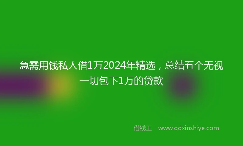 急需用钱私人借1万2024年精选，总结五个无视一切包下1万的贷款